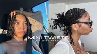 MINI TWISTS on Natural Hair  PROTECTIVE STYLE  Pria Symone [upl. by Alyel154]