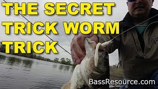 Trick Worm Tips for Bass Fishing Never Revealed  Until Now [upl. by Ylrac500]