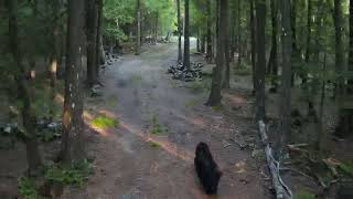 Summer 2022 Bruce Peninsula Drone [upl. by Curt108]