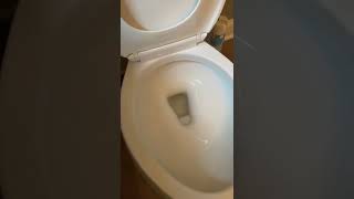 How to fix a Kohler toilet that will not fill up SOLVED [upl. by Erdreid459]