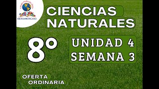 CIENCIAS NATURALES 8VO UNIDAD 4 SEMANA 3 [upl. by Eeleak]