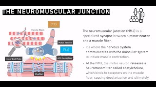 KN 152 Chapter Excitation Coupled Contraction amp SFT Brief Review amp Conclusion Lecture B [upl. by Dove104]