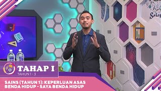 Tahap I 2022  Klip  Sains Tahun 1 Keperluan Asas Benda Hidup  Saya Benda Hidup [upl. by Demmer]