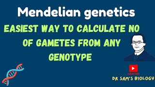 Easiest way to calculate the number of gametes from any genotype Genetics [upl. by Marcello80]