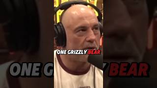 Grizzly Bears SCARY Joe Rogan [upl. by Ellecram116]