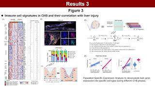 Liver transcriptomics to decipher the cause of intrahepatic inflammation in chronic hepatitis B [upl. by Mohorva]