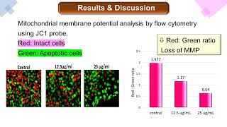 Molecular Basis of Sida cordifolia L Induced Apoptosis in Melanoma Cell Line [upl. by Roberto]