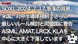 【Vlog311】2024717 米国株最新チャート分析 半導体 ナスダック100 NYダウ SampP500 ラッセル2000 オルカン 全米 FANG＋金融 エネルギー ゴールド ビットコイン [upl. by Jamey]