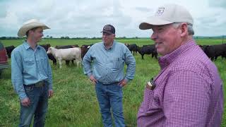 Cattlemen to Cattlemen  Helping Stocker Operations Manage Herd Health [upl. by Etsirk966]