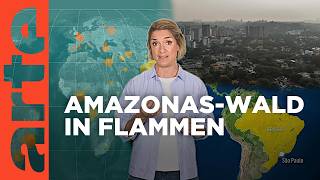 Amazonasgebiet Der Regenwald brennt  Mit offenen Karten  Im Fokus  ARTE [upl. by Nolava]