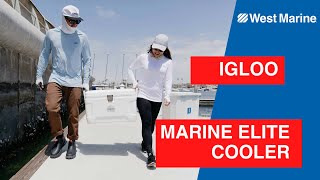 Igloo Marine Elite Coolers at West Marine [upl. by Ellennahc]