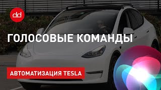 Голосовые команды для Tesla [upl. by Sinnelg]