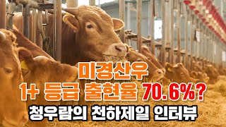 미경산우 1 등급 출현율 706 청우람 회원 농가들의 천하제일사료 인터뷰 [upl. by Thirzi825]