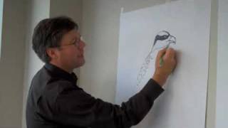 David Allen Sibley How to Draw an Osprey [upl. by Ivgnout]