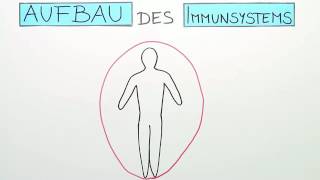 Humorale Immunantwort spezifische Immunabwehr Teil 2  Biologie Oberstufe [upl. by Arza]