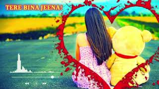 TERE BINA JEENA SAD CSONG NEW HINDI SAD SONG BREAKUP WALA GANA [upl. by Brew526]