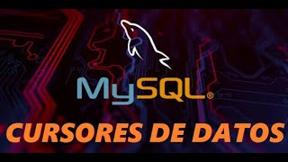 Aprende a usar cursores de datos en MySQL [upl. by Adnot537]