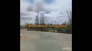 video de los chamameceros del río dedicado a mi pueblo palo blanco departamento tinogasta [upl. by Ness]