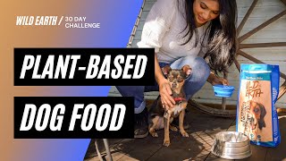 As Seen On Shark Tank  We Took the Wild Earth 30Day Challenge [upl. by Nahta998]