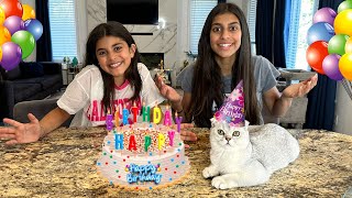 Happy Birthday Cake Surprise to our Cat Bello with Deema and Sally [upl. by Evers]