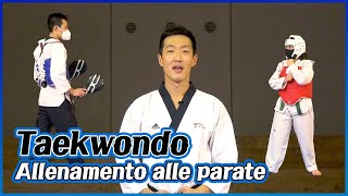 Taekwondo ep1 s3  Allenamento alle parate [upl. by Anaeirb]