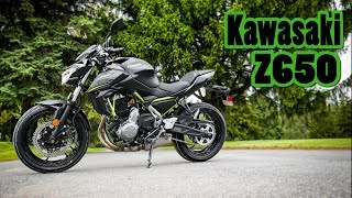 2019 Kawasaki Z650 First Ride  Review [upl. by Eerrehs465]