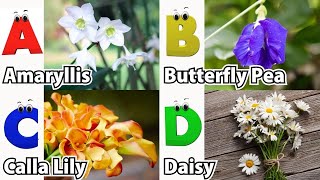 Flowers Alphabet Song  Flowers ABC Song  A to Z Flowers Names  Phonics for Kids [upl. by Agnimod256]