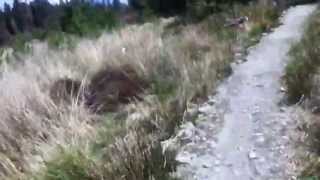 Derroura Mountain Bike Trail Galway Ireland [upl. by Katee]