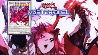 Rose Dragon Domination YuGiOh Master Duel [upl. by Colet243]