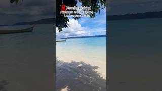 LEMONGRASS RESORT AND SPA IN HAVELOCK ISLAND ANDAMAN NICOBAR ISLAND [upl. by Pooi437]