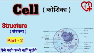 structure of cell  कोशिका की संरचना   anatomy  cell organelles [upl. by Adnir]