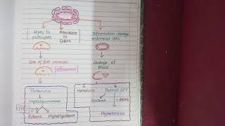 Nephrotic and Nephritic Syndrome [upl. by Etnaud]