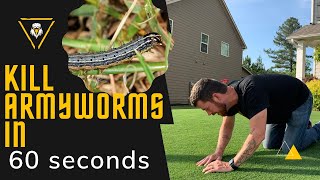 Kill Army Worms in 60 Seconds [upl. by Charin409]