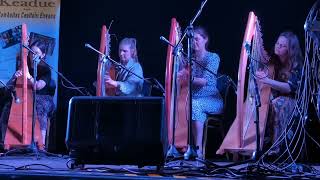 Ocarolan harp festival in lreland [upl. by Maupin894]