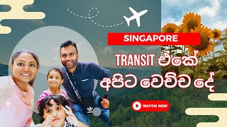 Singapore Transit එකේ අපිට වෙච්ච දේ  සිංහල vlog  Journey with Sha [upl. by Doe256]