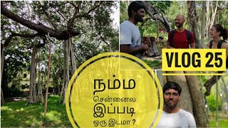 Peaceful Place in Chennai  Theosophical Society HeadQuarters  1500 Years Old Banyan Tree  VLOG 25 [upl. by Eilyab187]