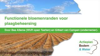 Functionele bloemenranden voor plaagbeheersing [upl. by Eno]