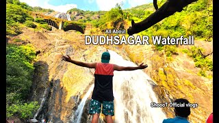 VLOG 32  Dudhsagar Waterfall Goa  Dudhsagar Waterfall Guide  How To Reach Dudhsagar Waterfall [upl. by Tarton]