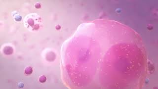 3D Medical Animation with MOA ImmunoOncology [upl. by Lleira]