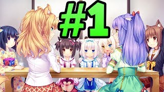 Nekopara Extra  Part 1  4K  TINY BABY KITTENS TIME SO KAWAII [upl. by Williamsen]