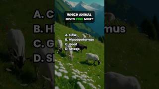 🦷🐢🐍 Animal Trivia Test Your Knowledge of Fascinating Creatures [upl. by Hendricks308]