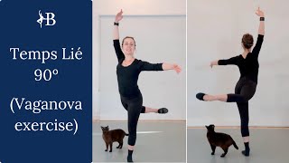 Temps Lié 90º  Ballet Tutorial  Adult Ballet [upl. by Yorgerg181]