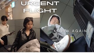 Urgent Flight Back to Korea visa good news [upl. by Drus]