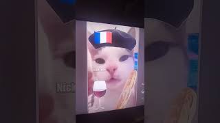 France vs italy cat [upl. by Neal]