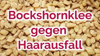 Bockshornklee gegen Haarausfall Schuppen Entzündungen und Co [upl. by Silvia583]