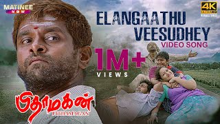 Elangaathu Veesudhey Video Song 4K Remastered  Pithamagan  Ilaiyaraaja  Vikram  Suriya [upl. by Eachelle552]