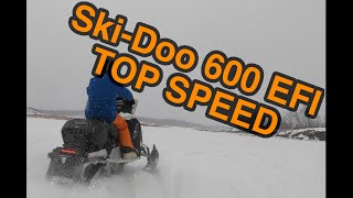 Ski Doo Expedition Sport 600 EFI Top Speed Test [upl. by Gone]