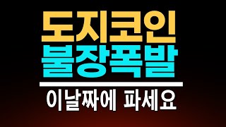 도지코인의 상승은 이날짜에 나온다 [upl. by Hoy]