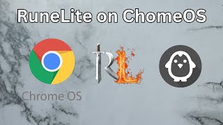 Running RuneLite on a ChromeOS Chromebook [upl. by Allister24]