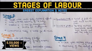 Stages of Labour  Labour  Easily explained  Hindi [upl. by Joachim]